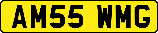 AM55WMG