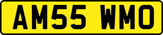 AM55WMO