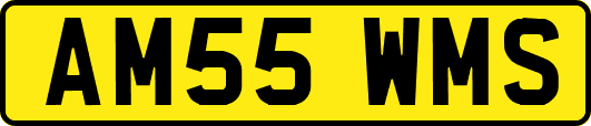 AM55WMS