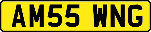 AM55WNG