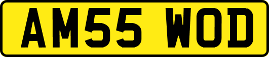 AM55WOD