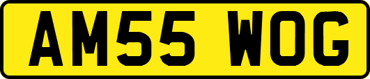 AM55WOG