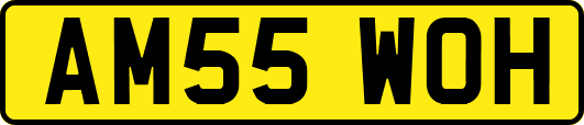 AM55WOH