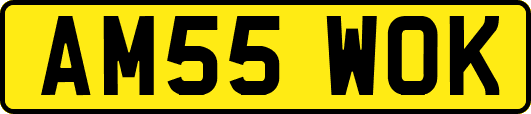 AM55WOK