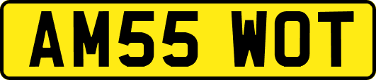 AM55WOT