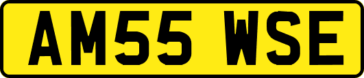 AM55WSE