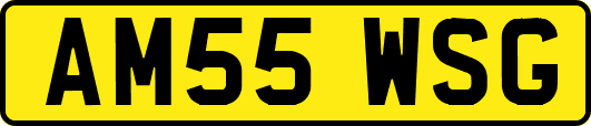 AM55WSG