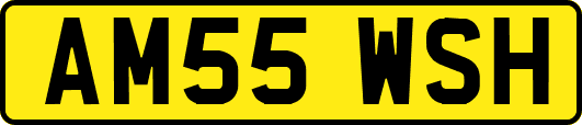 AM55WSH
