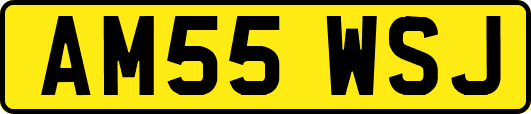 AM55WSJ