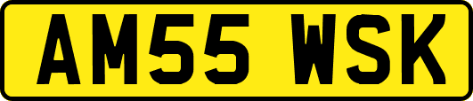 AM55WSK