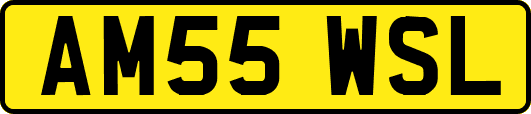AM55WSL