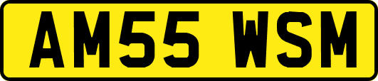 AM55WSM