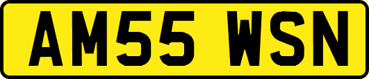 AM55WSN