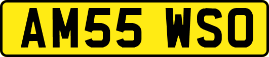 AM55WSO