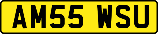 AM55WSU