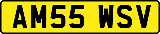 AM55WSV