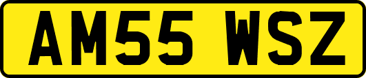 AM55WSZ