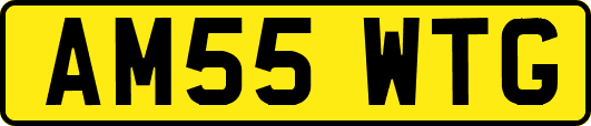 AM55WTG
