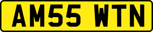 AM55WTN