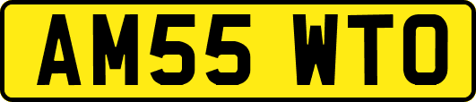 AM55WTO