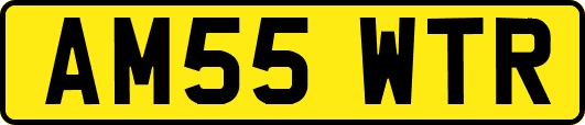 AM55WTR