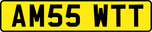 AM55WTT