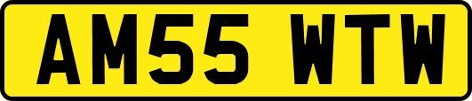 AM55WTW