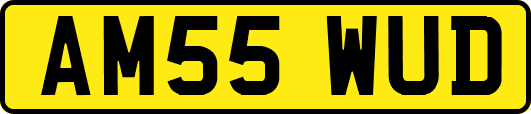 AM55WUD