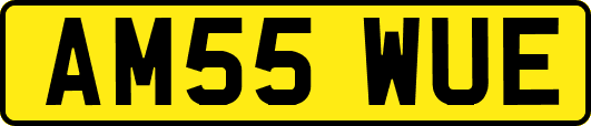 AM55WUE