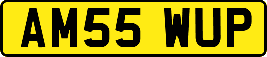 AM55WUP