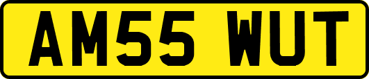 AM55WUT