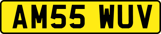 AM55WUV