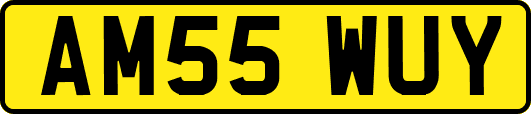 AM55WUY