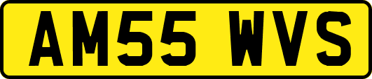 AM55WVS