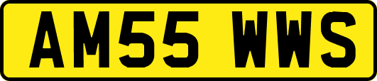 AM55WWS