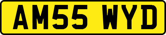 AM55WYD