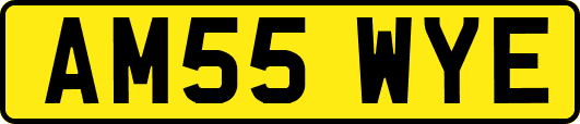 AM55WYE