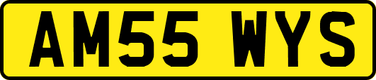 AM55WYS
