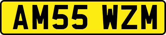 AM55WZM