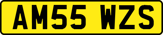 AM55WZS