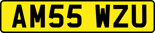 AM55WZU