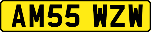 AM55WZW