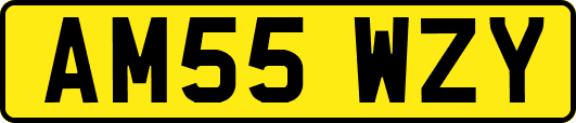 AM55WZY