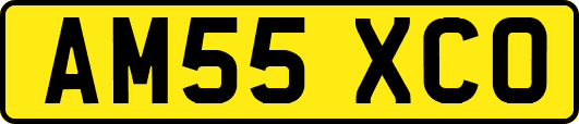 AM55XCO