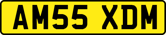 AM55XDM
