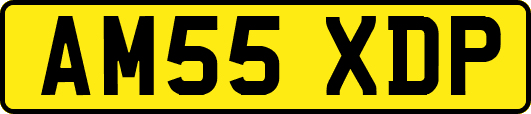 AM55XDP