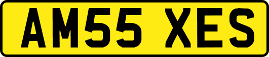 AM55XES