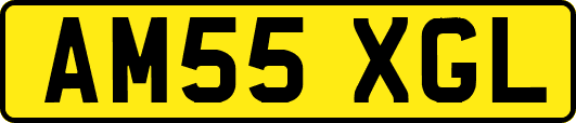 AM55XGL