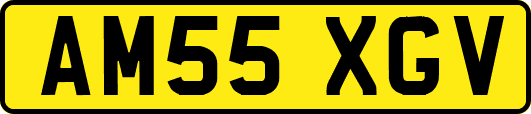 AM55XGV