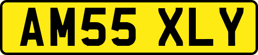 AM55XLY